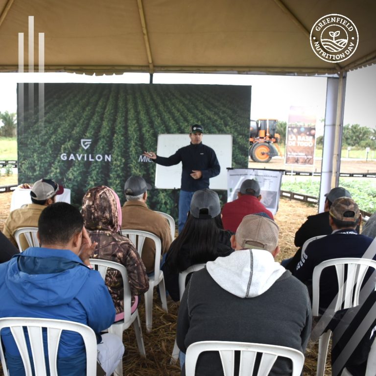 485179080_9255047724613392_4145832024366870390_n